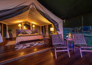 Little Governors Double Tent