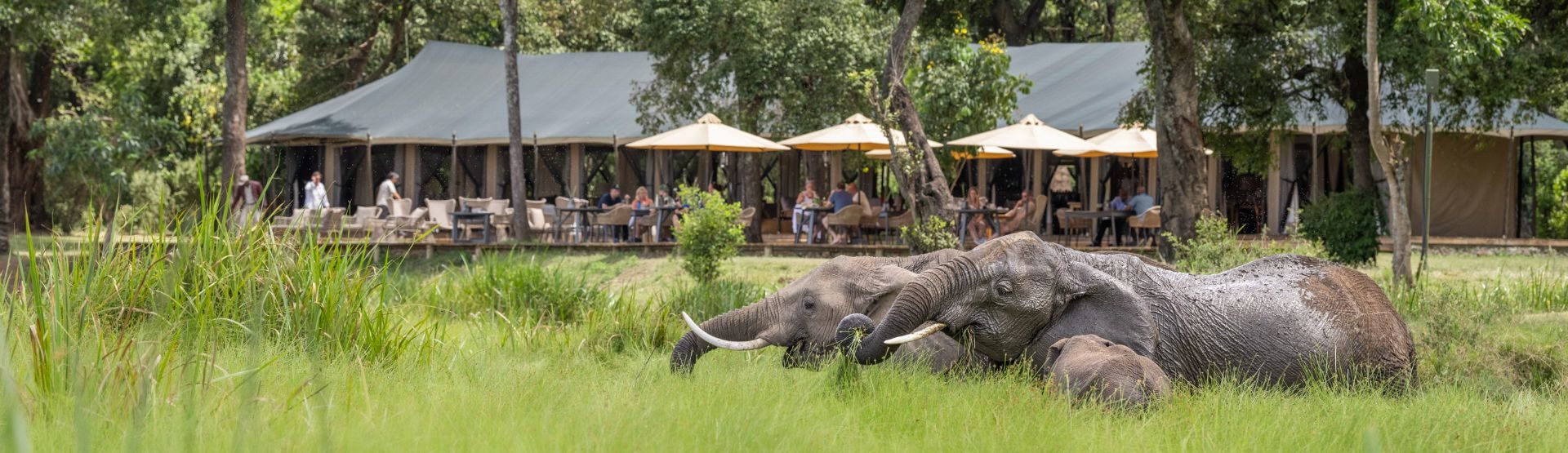 Little Governor’s Camp, Masai Mara National Reserve