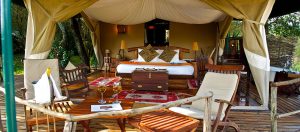 Mara explorer room honeymoon