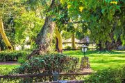 Lake Nakuru Lodge Garden