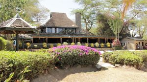 Lake Nakuru Pool bar
