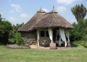 Mbweha Camp Nakuru