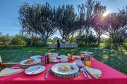 Mbweha Camp outdoor lunch