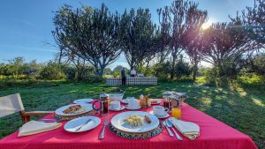 Mbweha Camp outdoor lunch