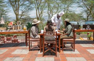 Sarova Lion Hill Lodge