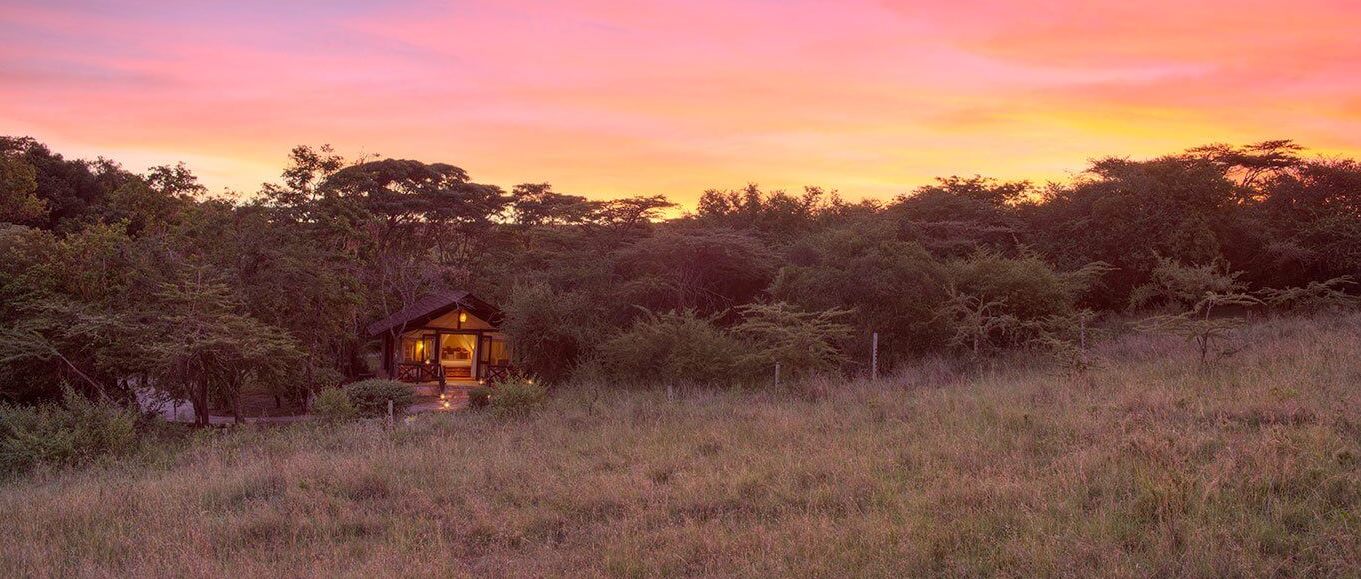 Sarova Masai Mara Game Lodge