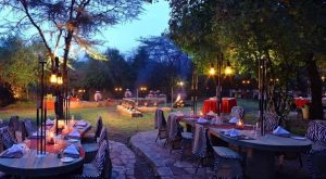 Sarova Mara Game Camp Outdoor Dining