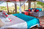 Zebra Mara Camp Double Room