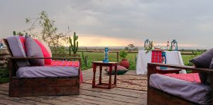 Zebra Plains Mara Camp outdoor