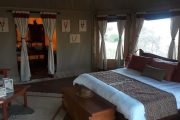 Elephants Bedroom Camp interior