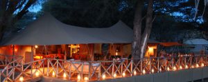 Elephants Bedroom Camp Main