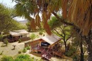 Elephants Bedroom Camp Rooms