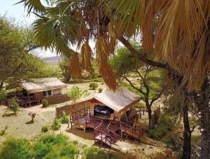 Elephants Bedroom Camp Rooms