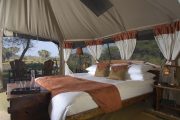 Elephants Bedroom Double Room