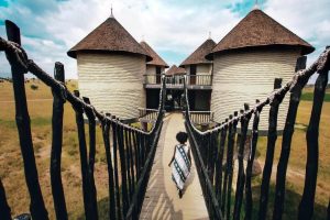Saltlick Lodge Taita Suspended walkway