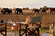 Satao Camp Tsavo elephants