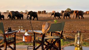 Satao Camp Tsavo elephants