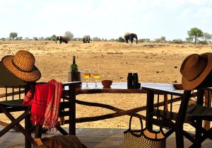 Satao Camp View