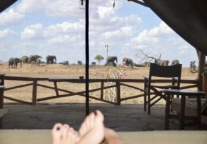 Satao Camp View from tent