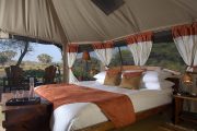 Elephants bedroom camp Samburu
