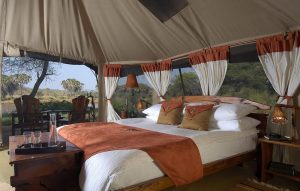 Elephants bedroom camp Samburu