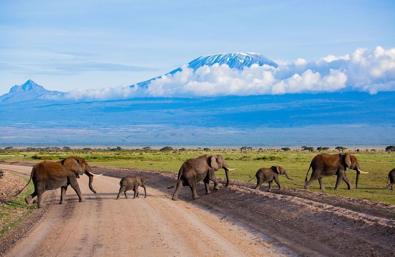 Amboseli National Park Kajiado Elephants