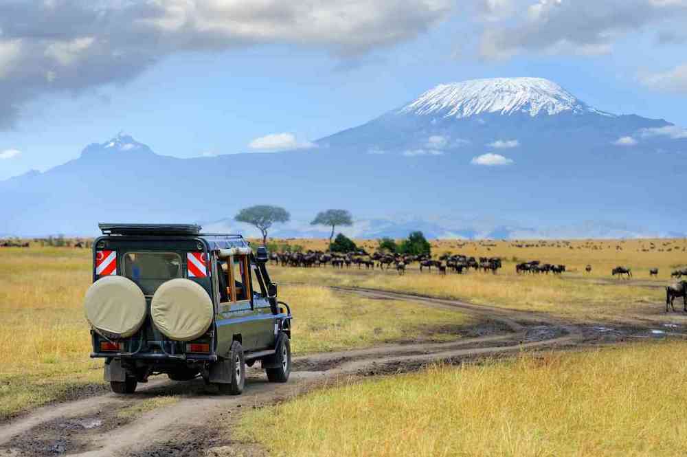 Amboseli National Park to be managed by Maasai kajiado County