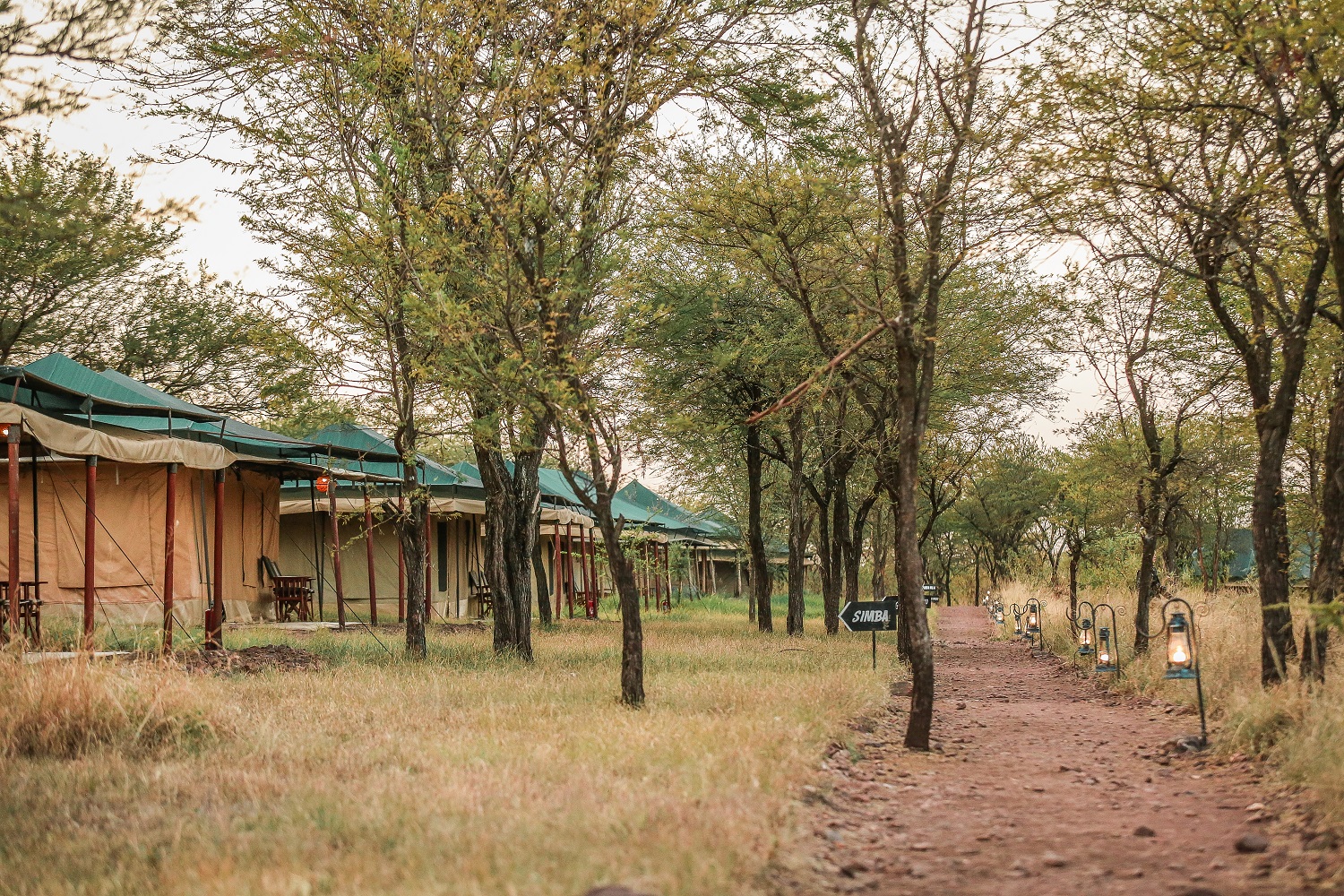 Tukaone Serengeti Camp Rooms