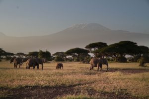 5-day safari from Mombasa