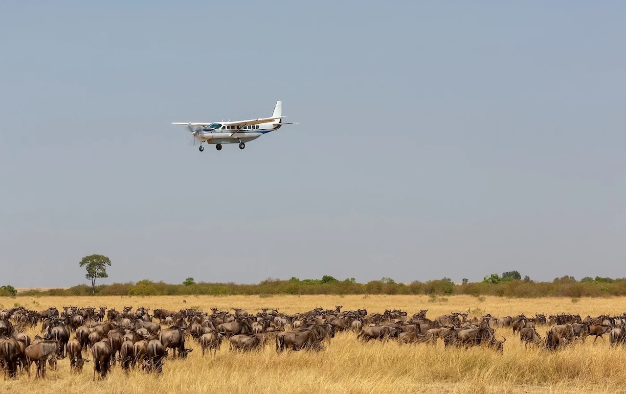 Flying safari Mombasa Masai Mara