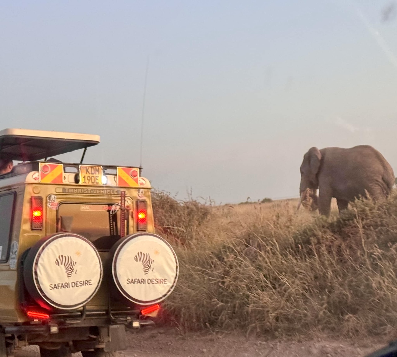 Safari from Mombasa Kenya